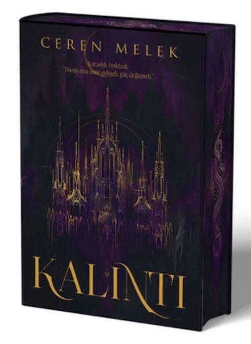 Kalıntı