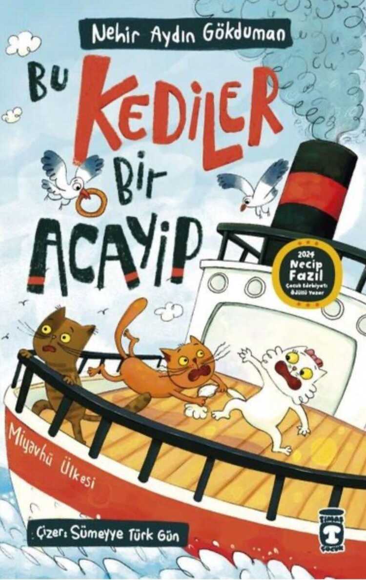 Bu Kediler Bir Acayip