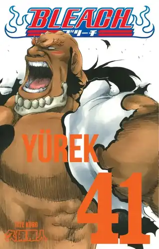 Bleach 41. Cilt