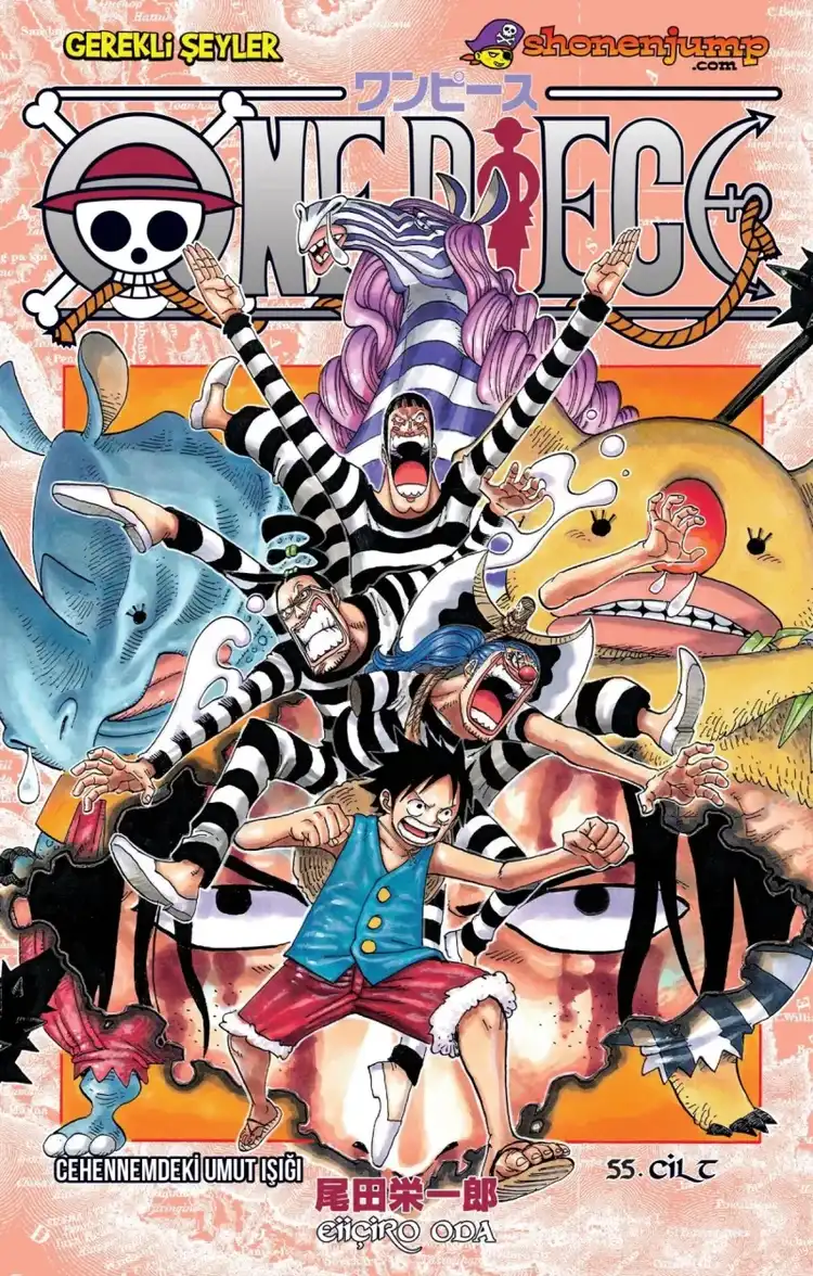 One Piece - 55. Cilt