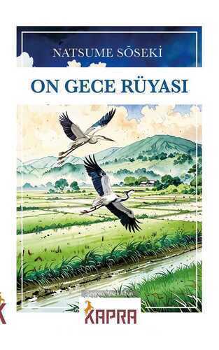 On Gece Rüyası