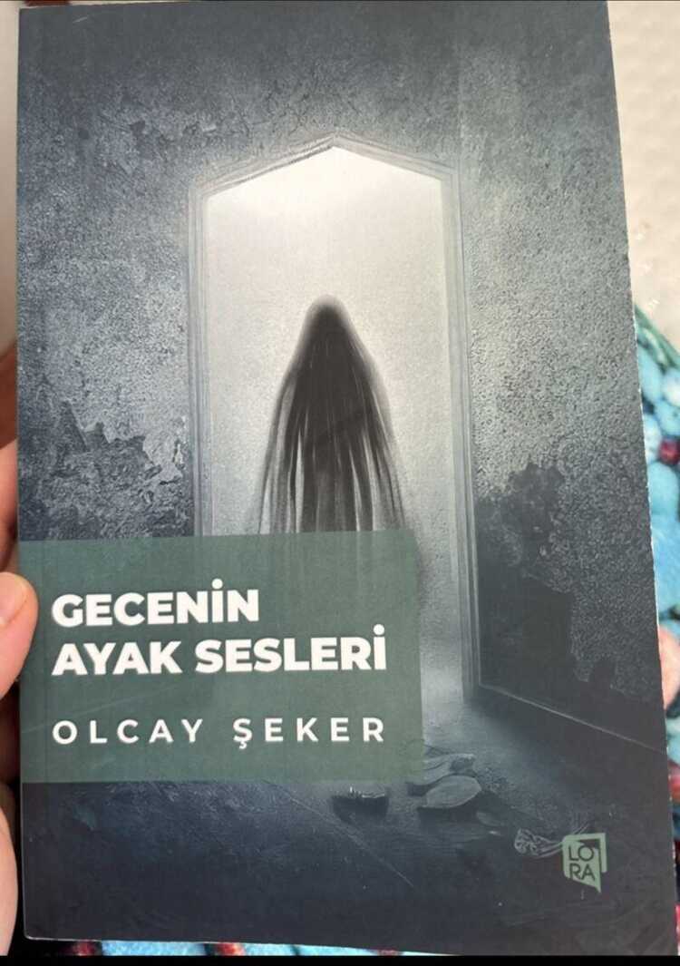 Gecenin Ayak Sesleri