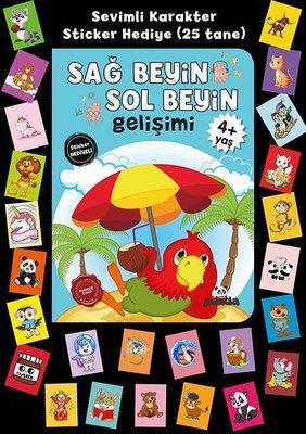 Sağ Beyin Sol Beyin Gelişimi
