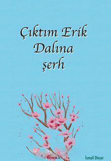 Çıktım Erik Dalına