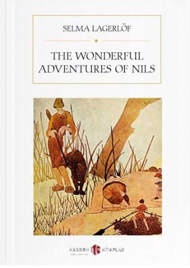 The Wonderful Adventure of Nils