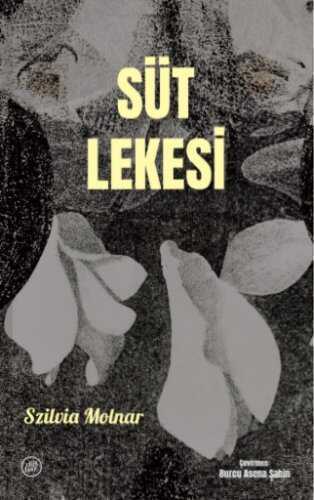 Süt Lekesi