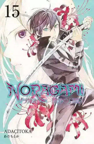Noragami 15