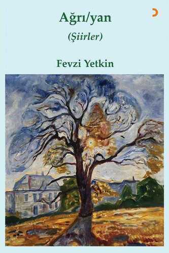 Ağrı / yan — Fevzi Yetkin
