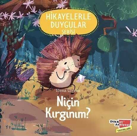 Niçin Kırgınım?