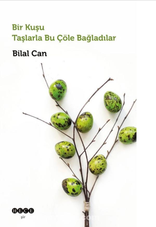 Bir Kuşu Taşlarla Bu Çöle Bağladılar