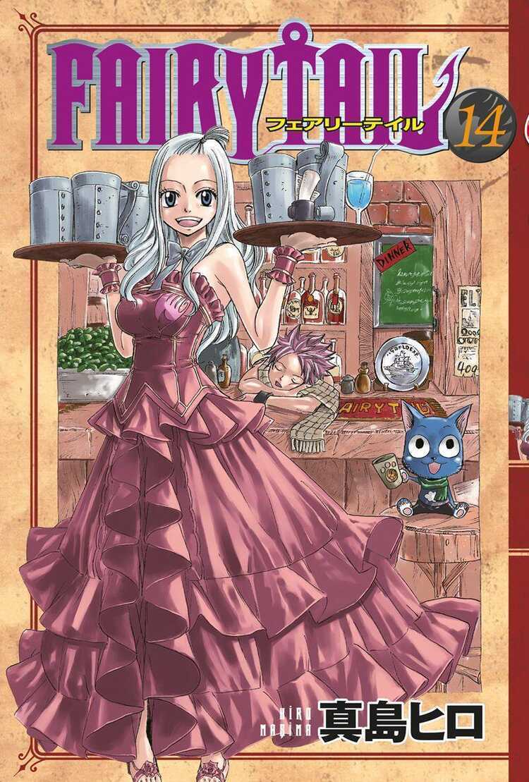 Fairy Tail - Cilt 14