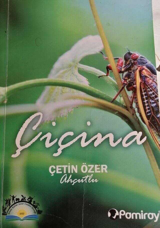Çiçina