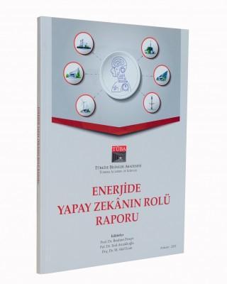 Enerjide Yapay Zekanın Rolü Raporu