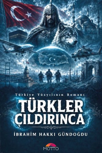 Türkler Çıldırınca  Türkiye Yüzyılının Romanı
