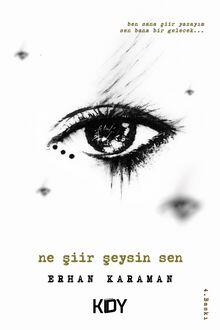 Ne Şiir Şeysin Sen
