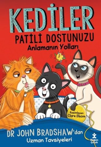 Kediler  Patili Dostunuzu Anlamanın Yolları