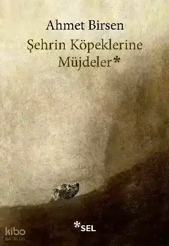 Şehrin Köpeklerine Müjdeler