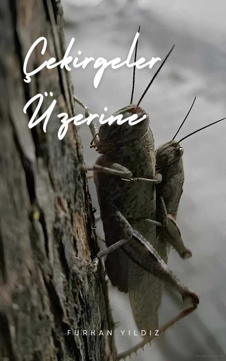 Çekirgeler Üzerine