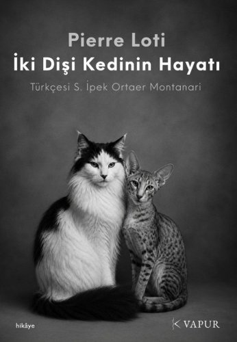 İki Dişi Kedinin Hayatı