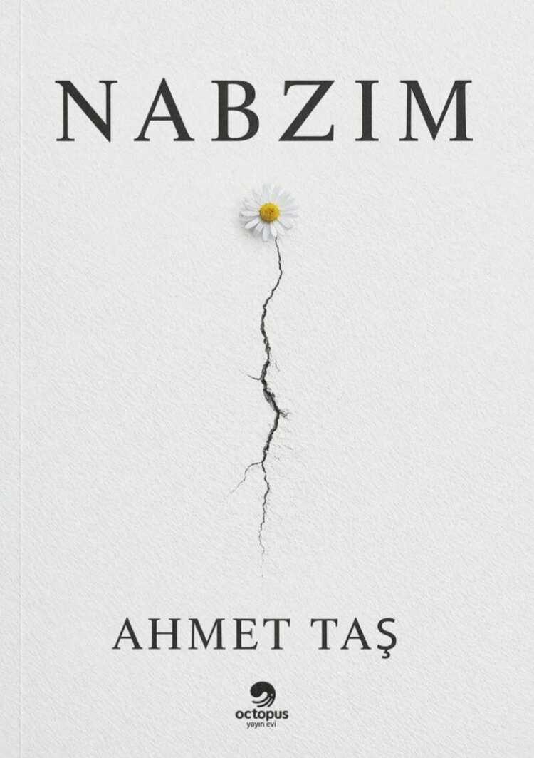 Nabzım