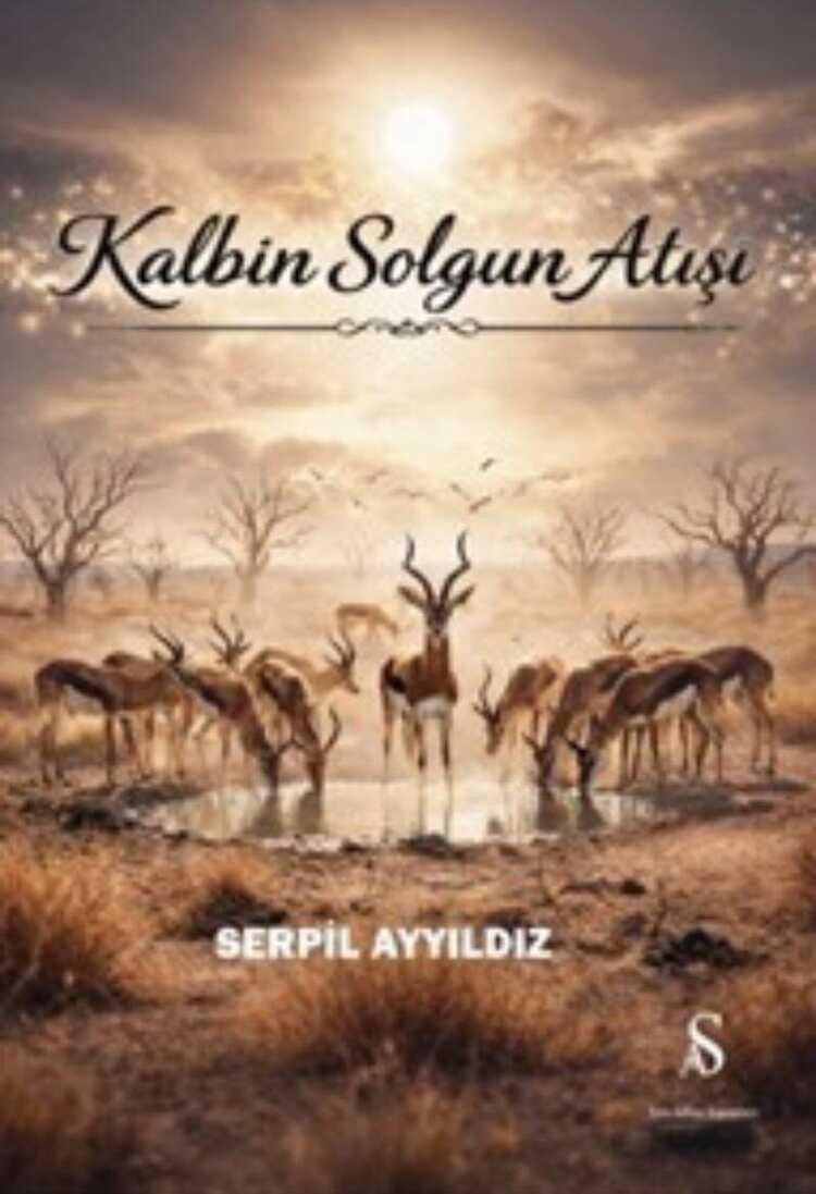 Kalbin Solgun Atışı