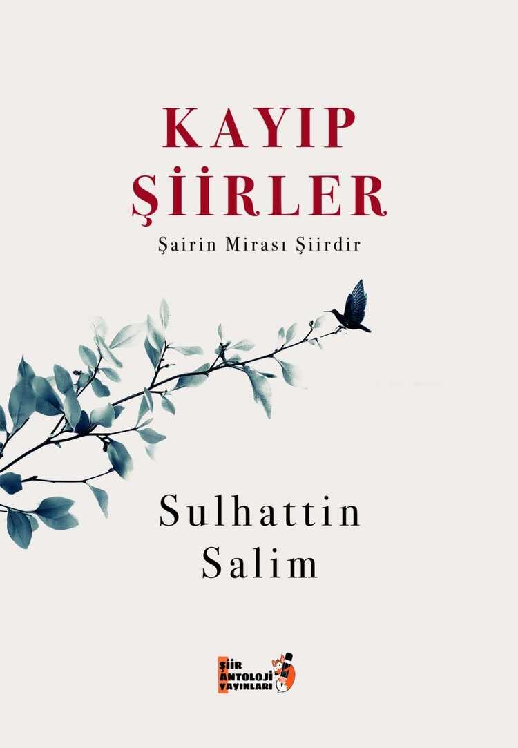 Kayıp Şiirlerim