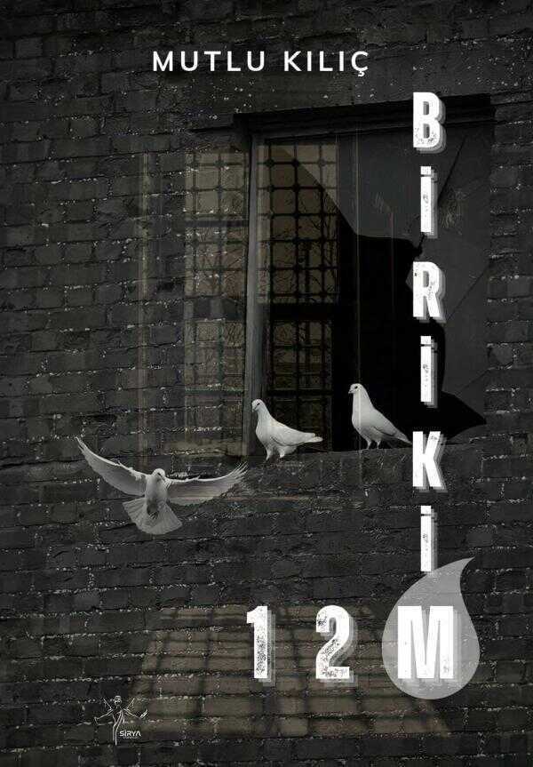 Birikim