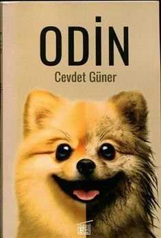 Odin — Cevdet Güner