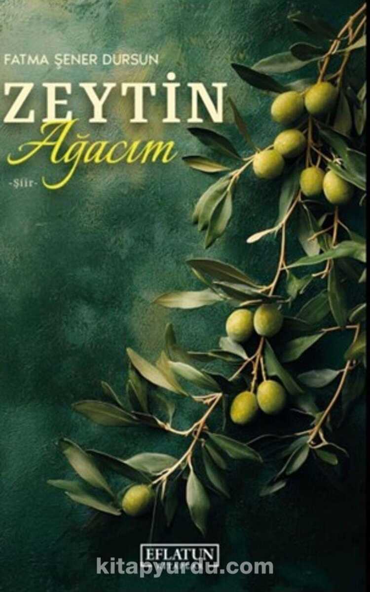 Zeytin Ağacım