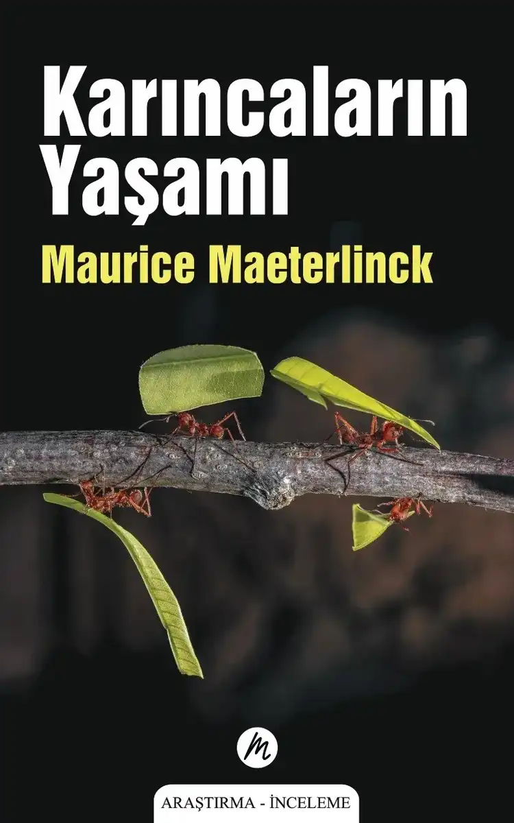 Karıncaların Yaşamı
