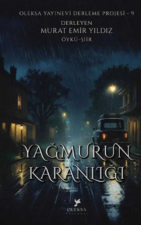 Yağmurun Karanlığı
