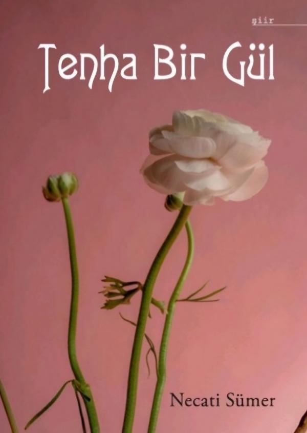 Tenha Bir Gül