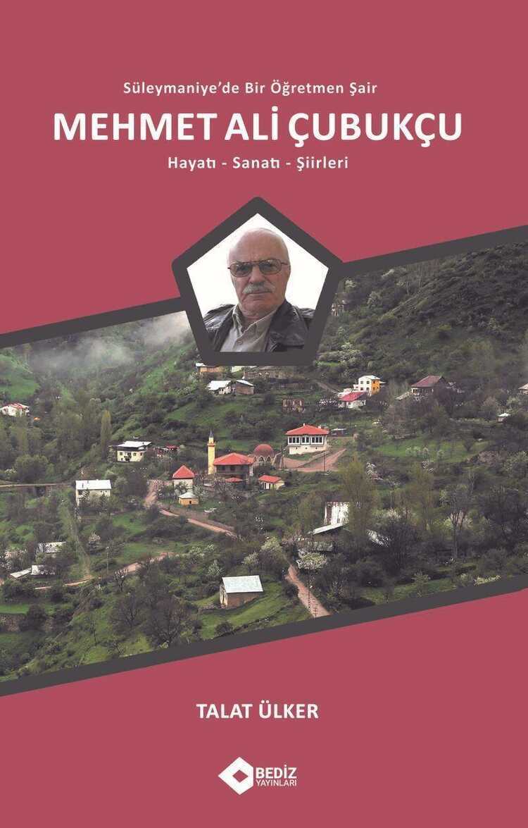 Mehmet Ali Çubukçu