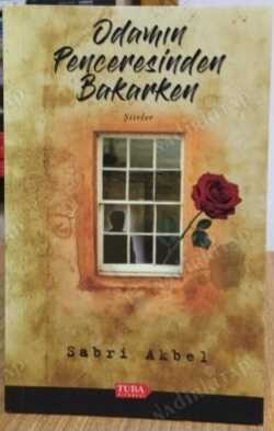 Odamın Penceresinden Bakarken