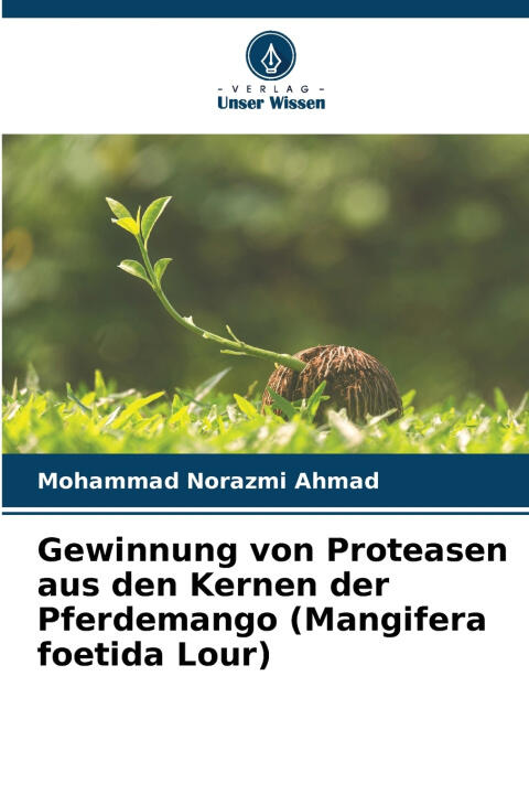 Gewinnung von Proteasen aus den Kernen der Pferdemango (Mangifera foetida Lour)