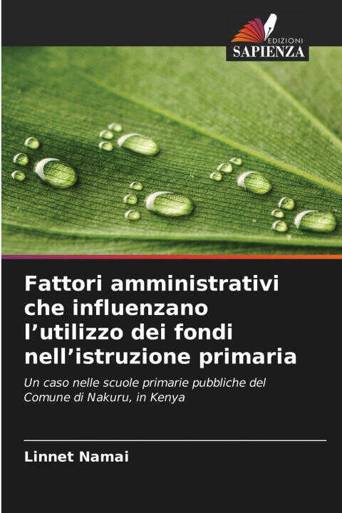 Fattori amministrativi che influenzano l'utilizzo dei fondi nell'istruzione primaria