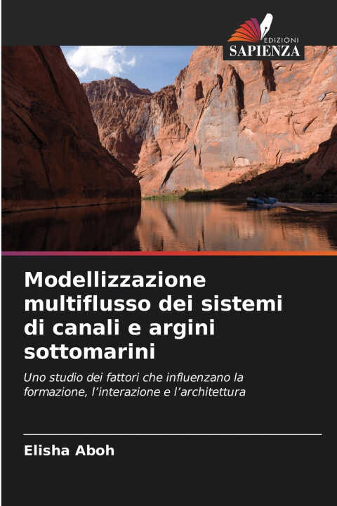 Modellizzazione multiflusso dei sistemi di canali e argini sottomarini