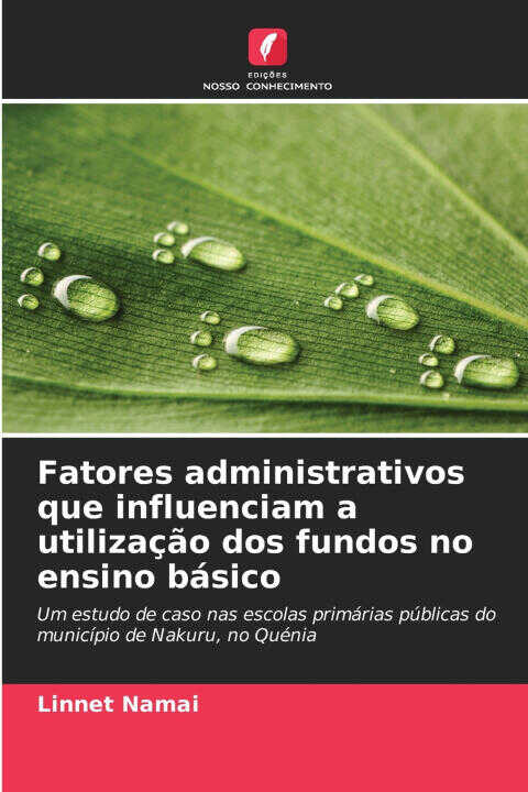 Fatores administrativos que influenciam a utilização dos fundos no ensino básico