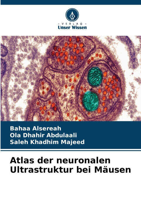 Atlas der neuronalen Ultrastruktur bei Mäusen