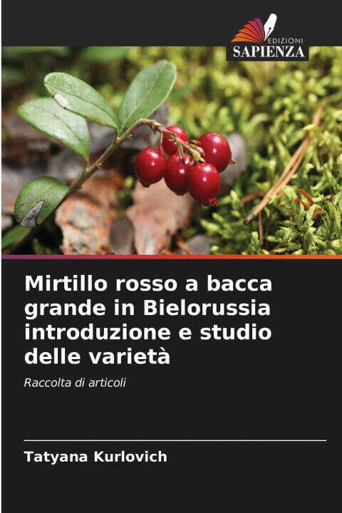 Mirtillo rosso a bacca grande in Bielorussia introduzione e studio delle varietà