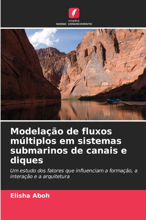 Modelação de fluxos múltiplos em sistemas submarinos de canais e diques