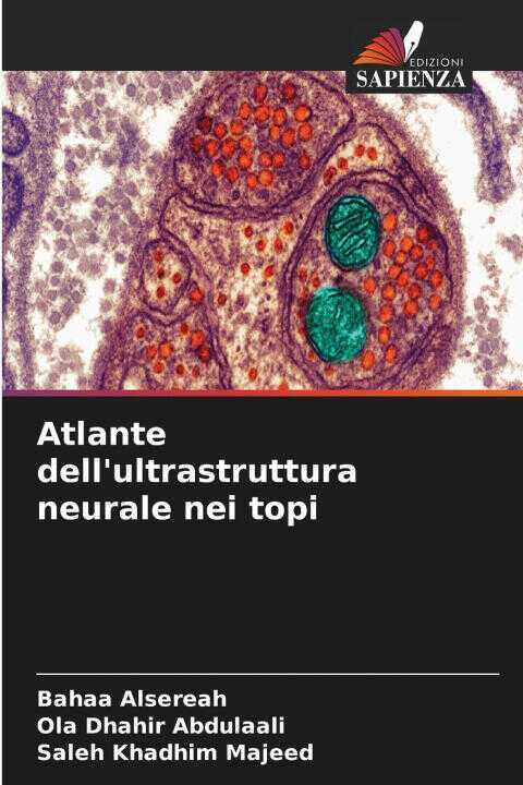 Atlante dell'ultrastruttura neurale nei topi