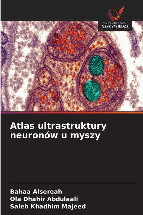 Atlas ultrastruktury neuronów u myszy