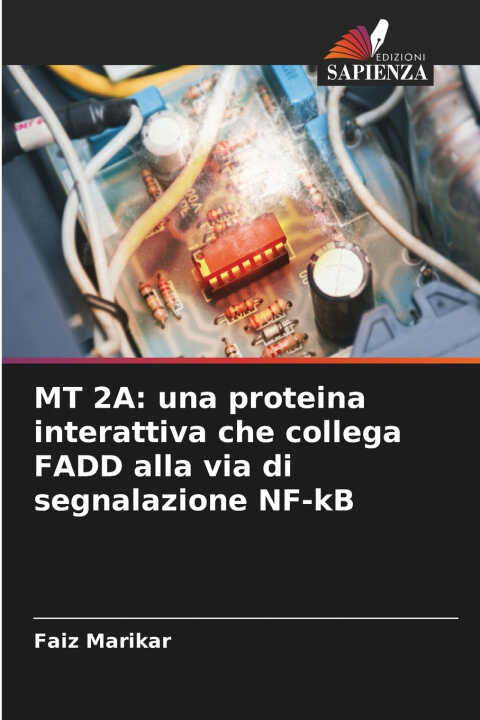 MT 2A