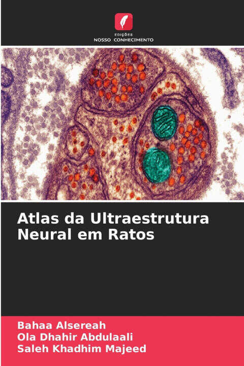 Atlas da Ultraestrutura Neural em Ratos