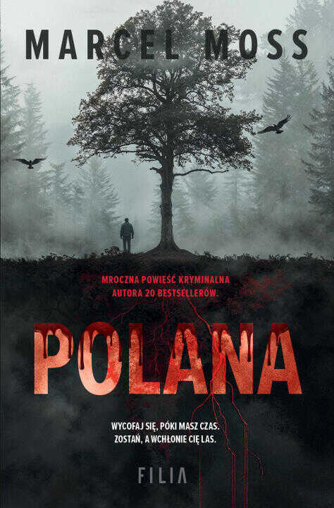 Polana wyd. 2