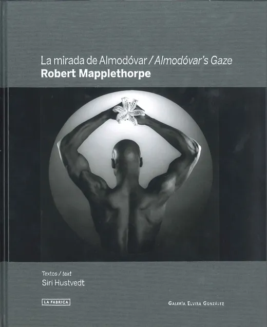 Almodor's Gaze: Robert Mapplethorpe