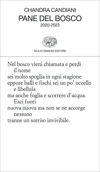 Pane del bosco. 2020-2023