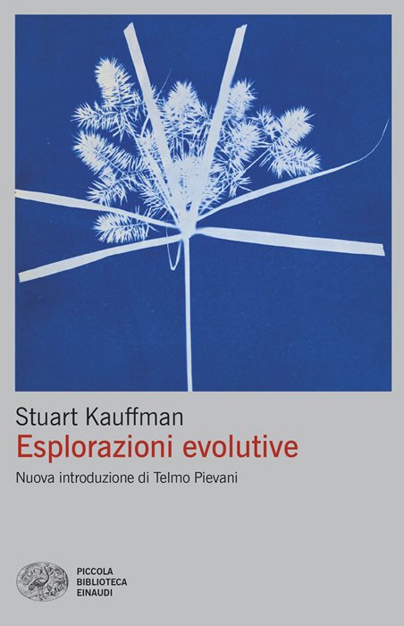 Esplorazioni evolutive