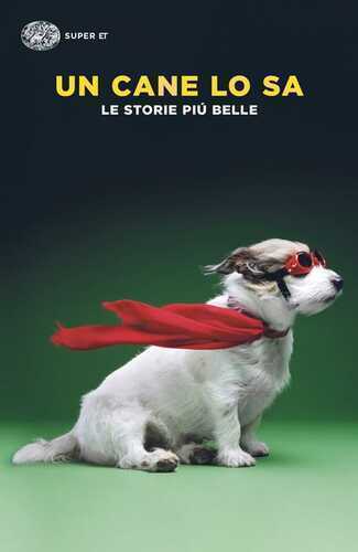 Un cane lo sa. Le storie più belle